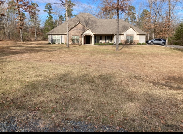 Fall Yard Cleanup